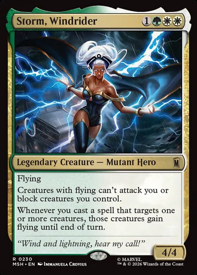 Storm, Windrider Foil